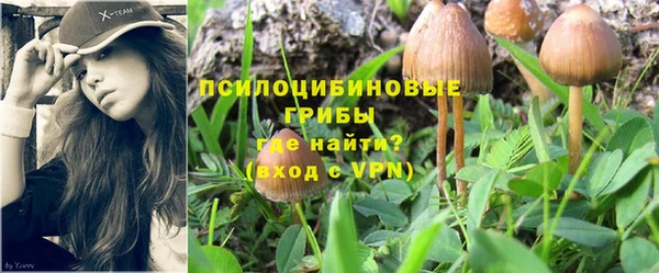 ешки Верхний Тагил