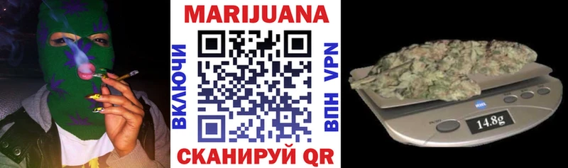 где продают   Семёнов  Каннабис SATIVA & INDICA 